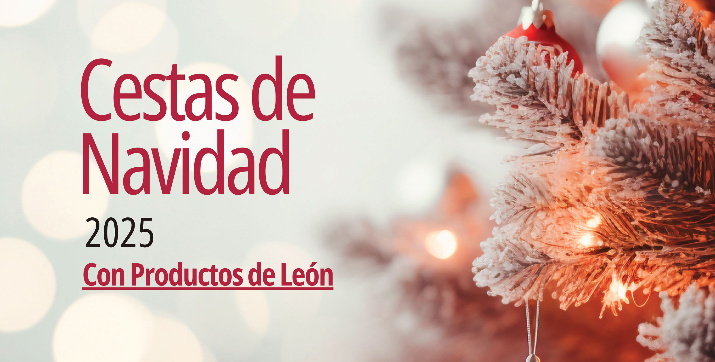 Imagen popup